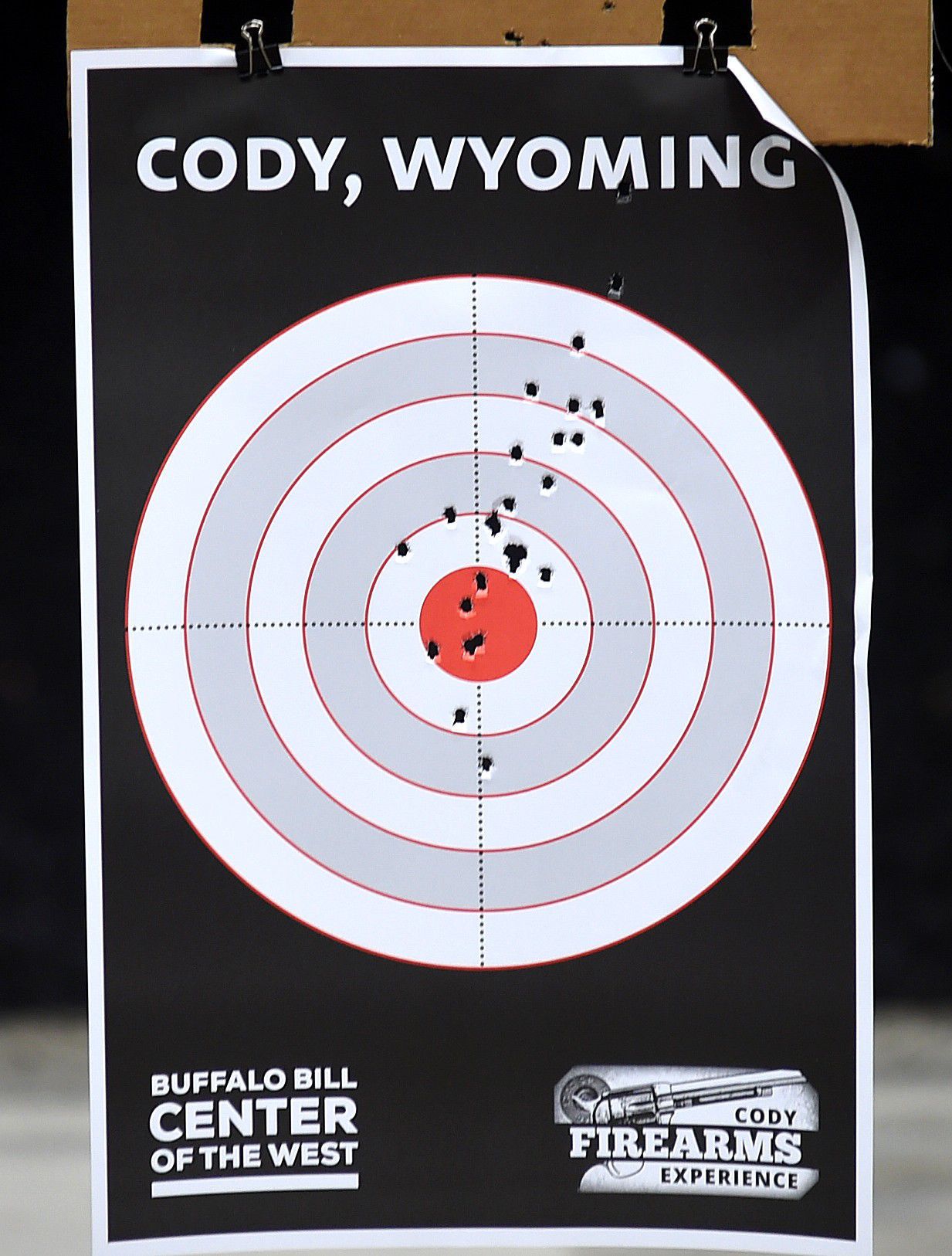 Cody firearms target
